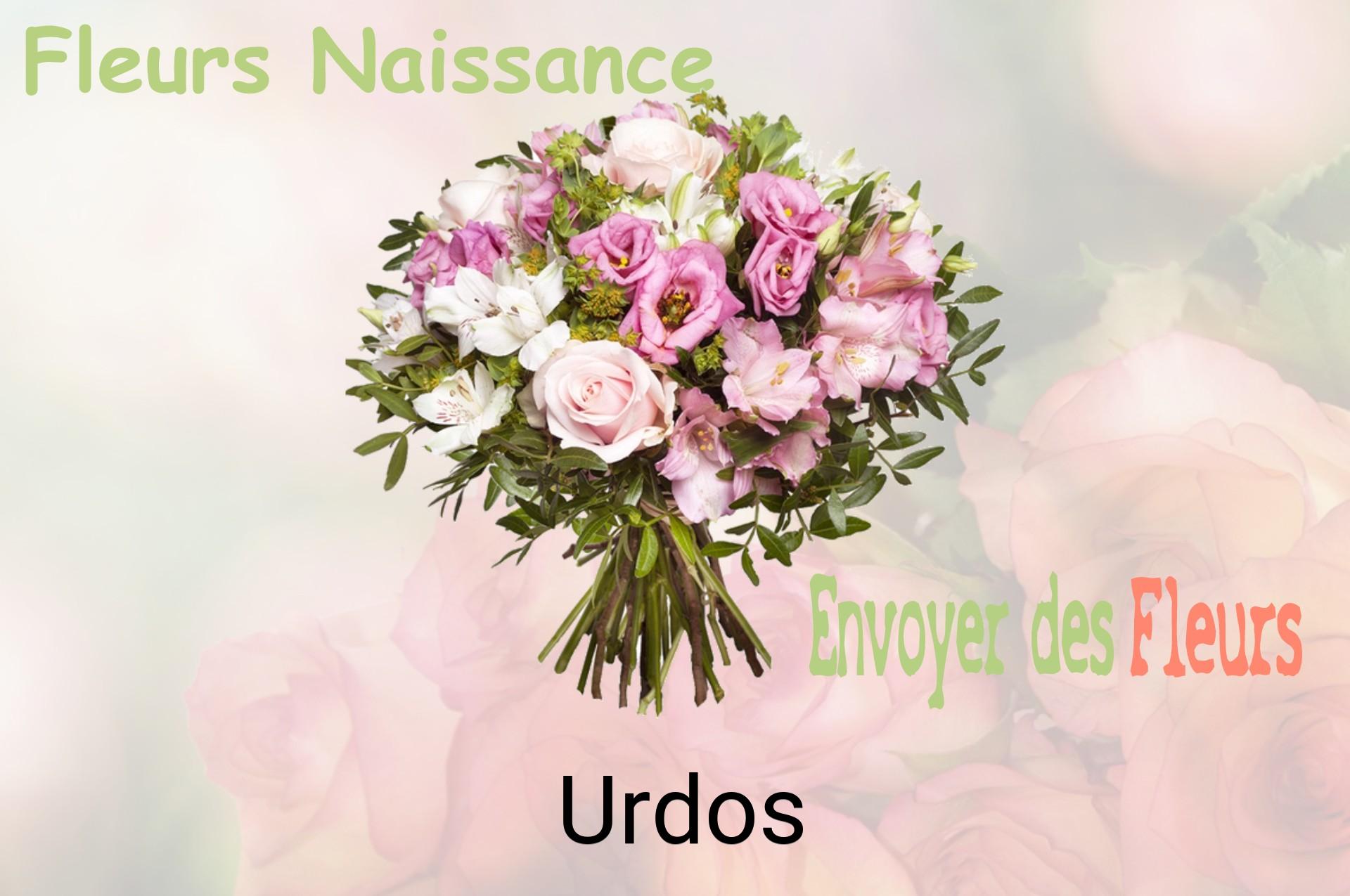 Bouquet de fleurs de naissance livré à Urdos